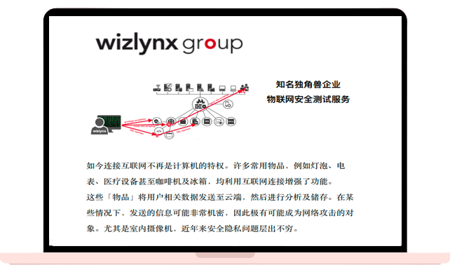 Wizlynx Group – 知名独⻆兽企业 物联⽹安全测试服务