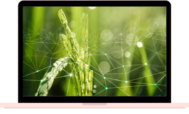 里仁攜手博弘雲端：開創永續農業的雲端未來